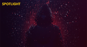 [Website]-Articles---Out