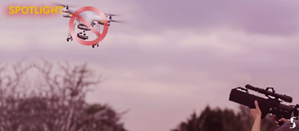 [Website]-Articles---In