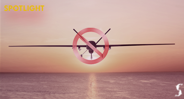 [Website]-Articles---Out